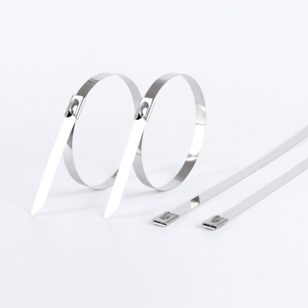 201/304/316 stainless steel cable ties/marine cable ties, self-locking metal cable ties, tag cable ties